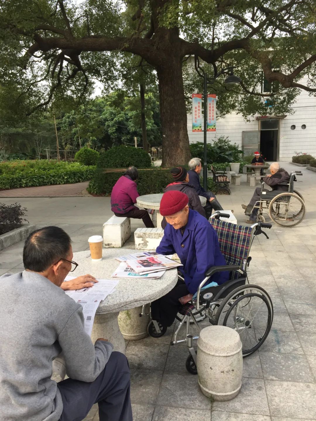 一些像土拨鼠一样的小故事