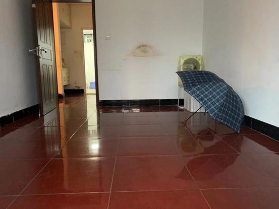 28年凶杀案告破,22年前命案告破