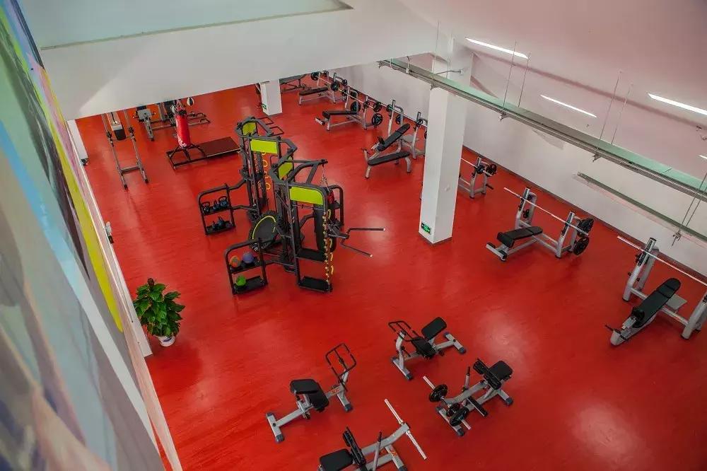 高考志愿@深圳大学2019年普通本科招生计划