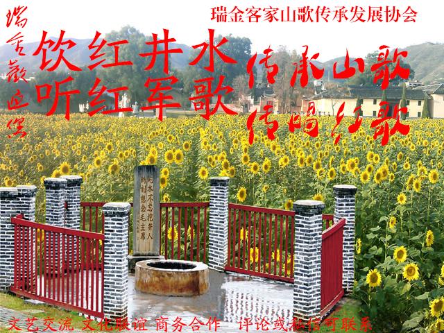 瑞金足球杯,瑞金体育比赛