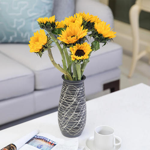 鲜花插花技巧专业术语,插花常见鲜花名称大全