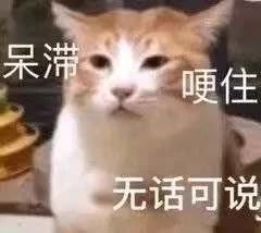 鲸潮丨年轻人不买潮牌，和咸鱼有什么区别？