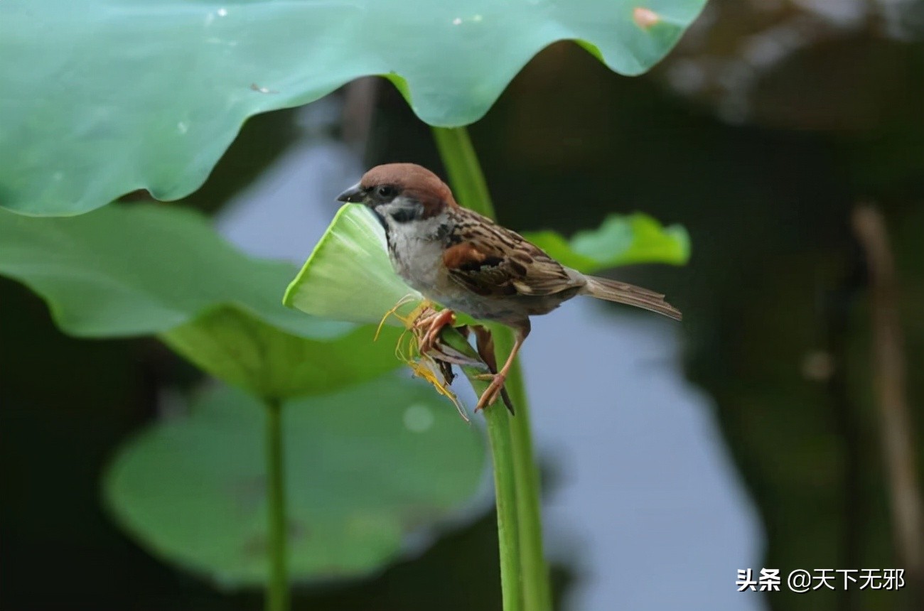 中国无神论思想的历史,中国无神论简史