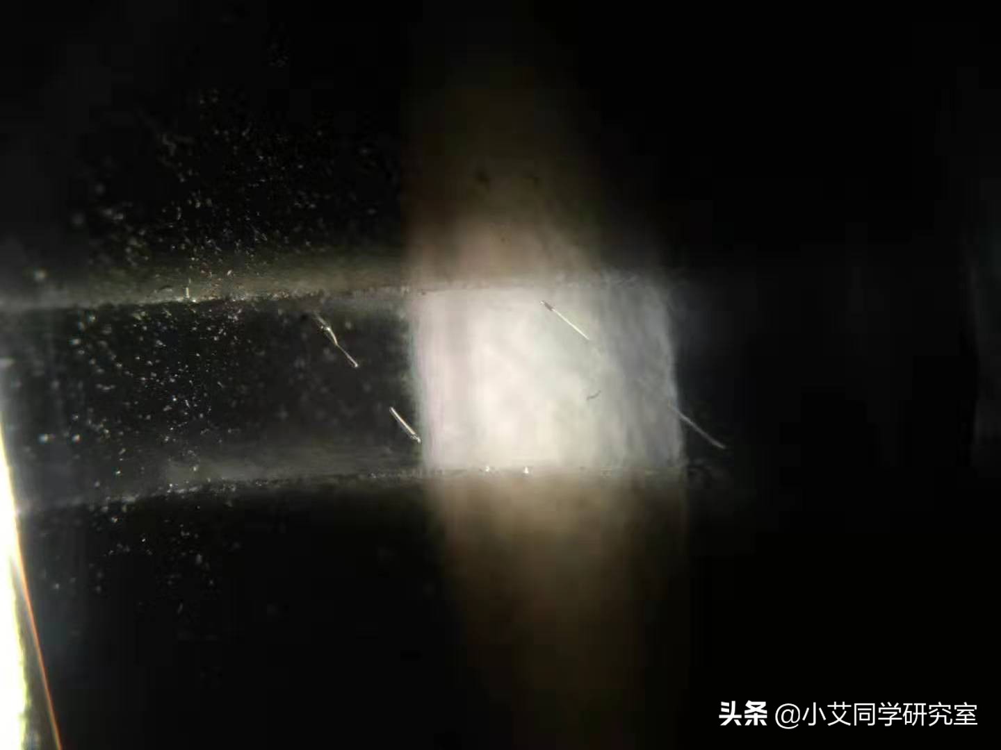 揭秘珠宝鉴定师的秘密,珠宝鉴定小常识