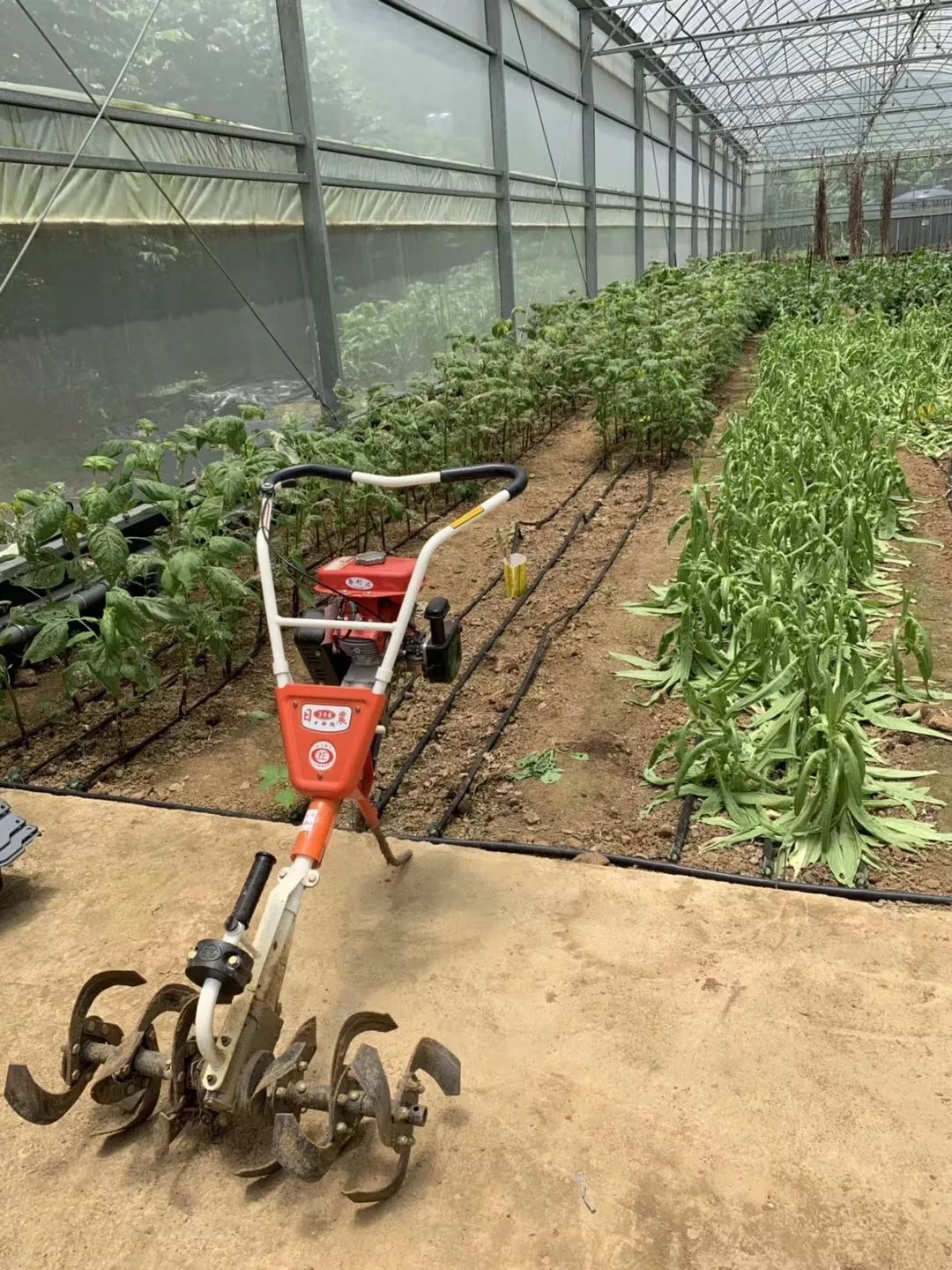 吃完就变富有的一顿饭：来自台湾非典型性富二代农夫Fudy