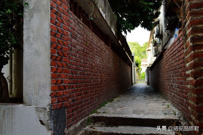 厦门海边之旅,厦门小众旅游体验