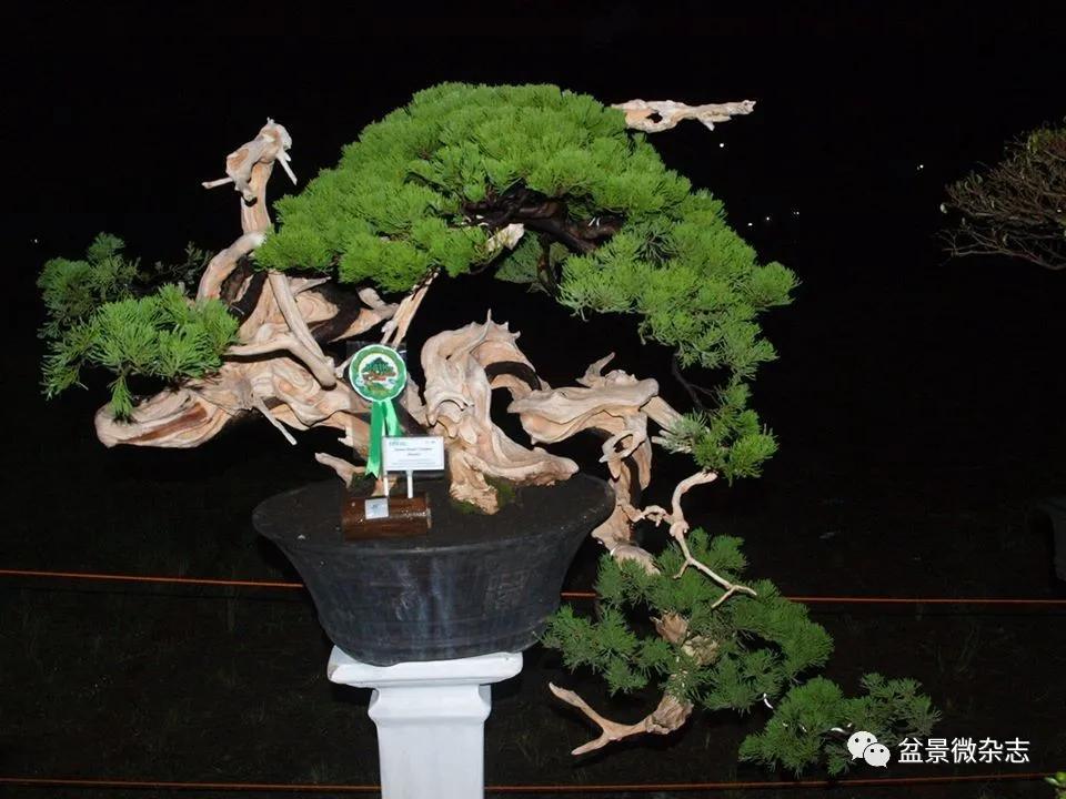 盆中景自然景观,盆中景