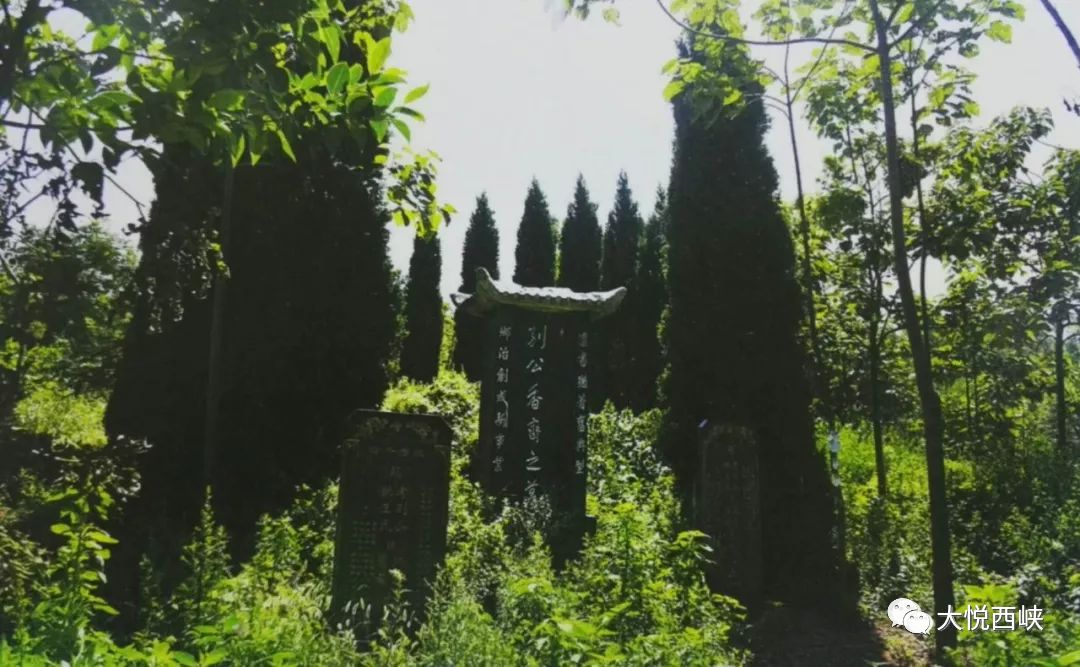 宛西首领别廷芳,宛西枭雄别廷芳