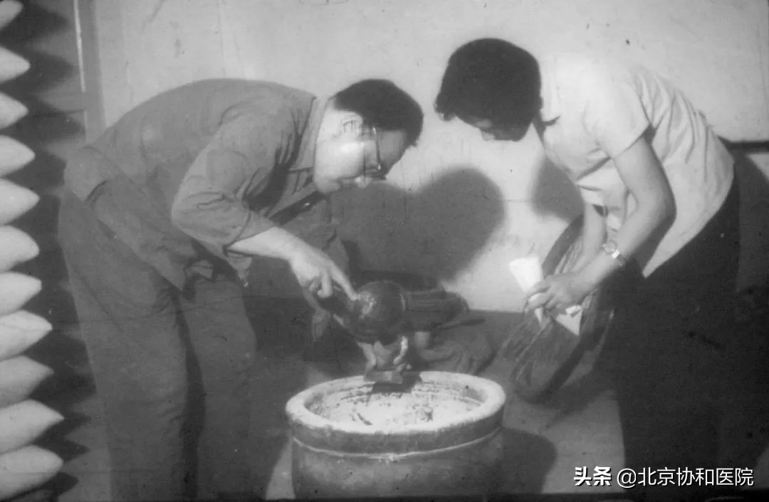 主任话科史|变态反应科王良录：前辈高山仰止，后学砥砺前行