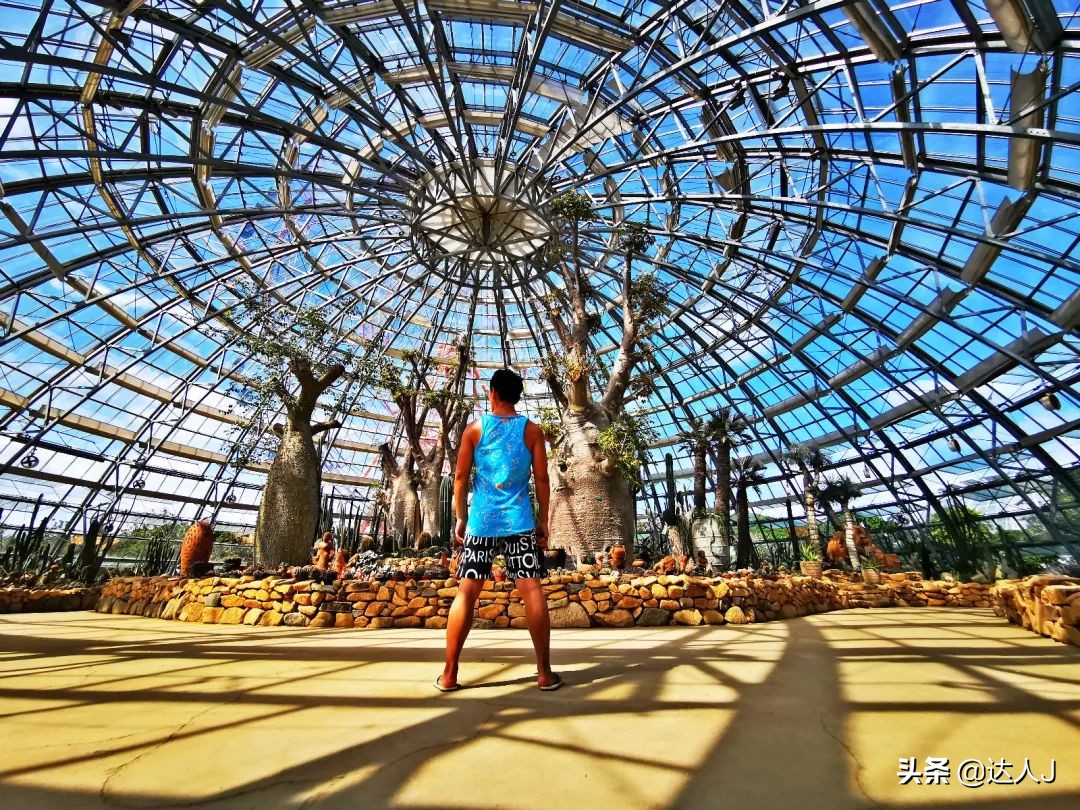 北京珍珠岛乐园,芽庄珍珠岛游乐园在哪儿