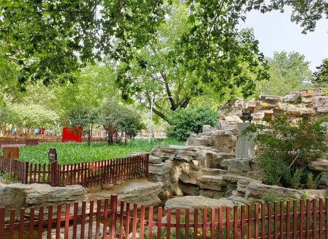 北京的坛庙文化——皇地祗神的祭坛和史铁生《我与地坛》