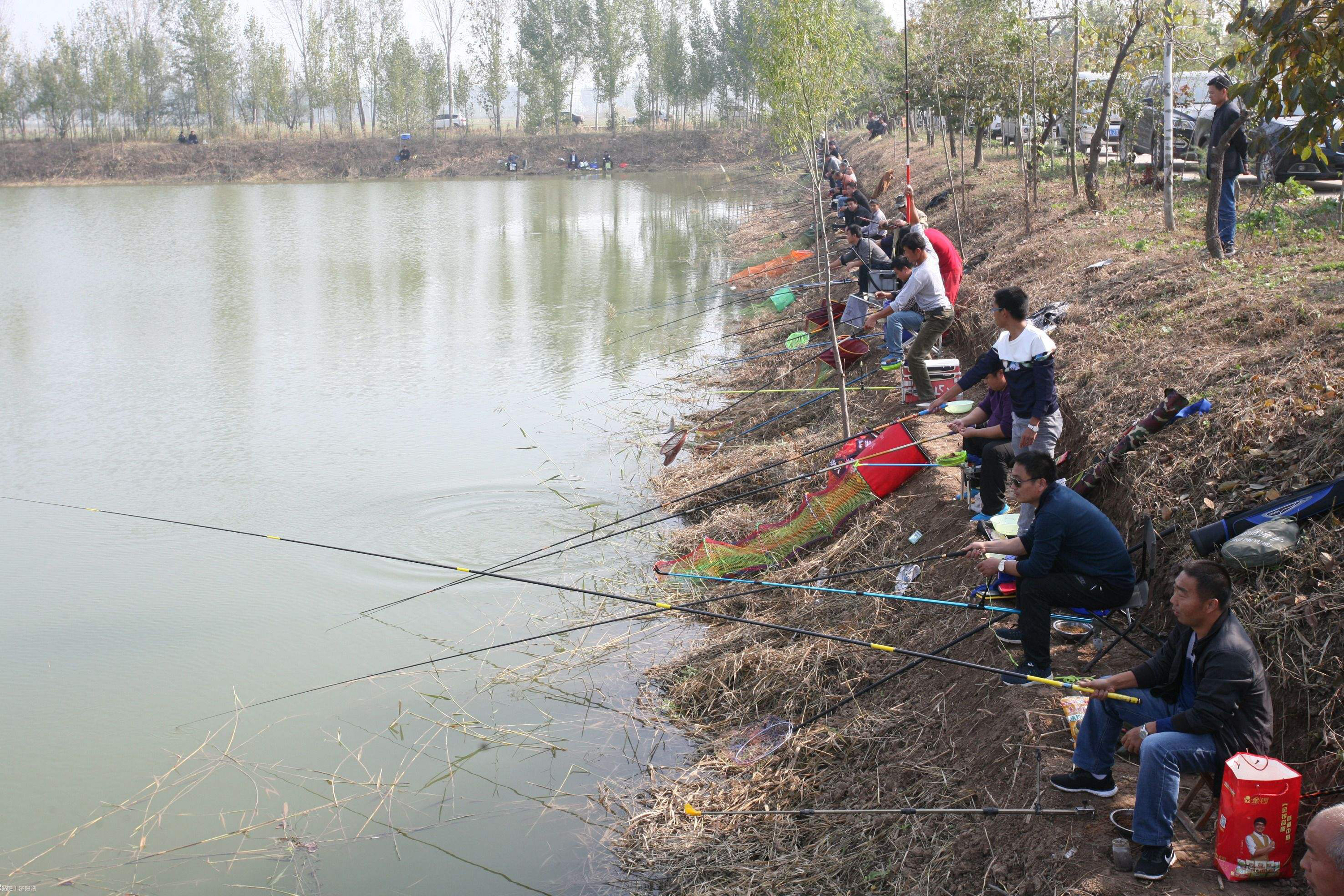 黑坑添加小药的正确方法与技巧,野钓钓鱼小药排行榜第一名