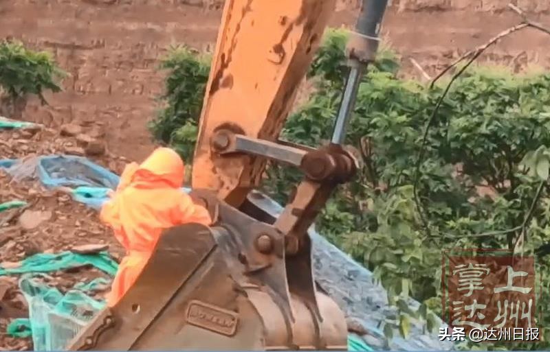 天热马蜂在蜂巢乱飞怎么回事,气温高马蜂如何过冬天