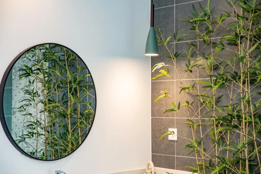 安吉竹海民宿推荐,竹海景观民宿安吉