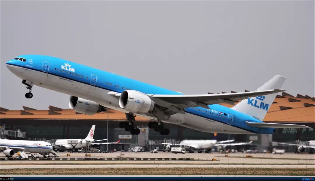 荷兰皇家航空世界最佳航空,荷兰皇家航空优缺点