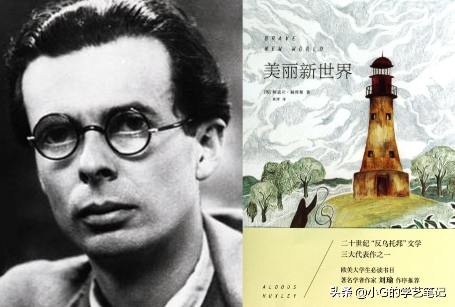 牢笼谢德庆,谢德庆牢笼照片