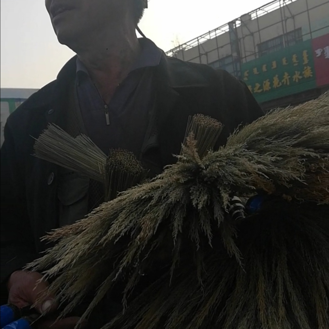 前郭体育场早市2021年 (松原前郭体育场早市)