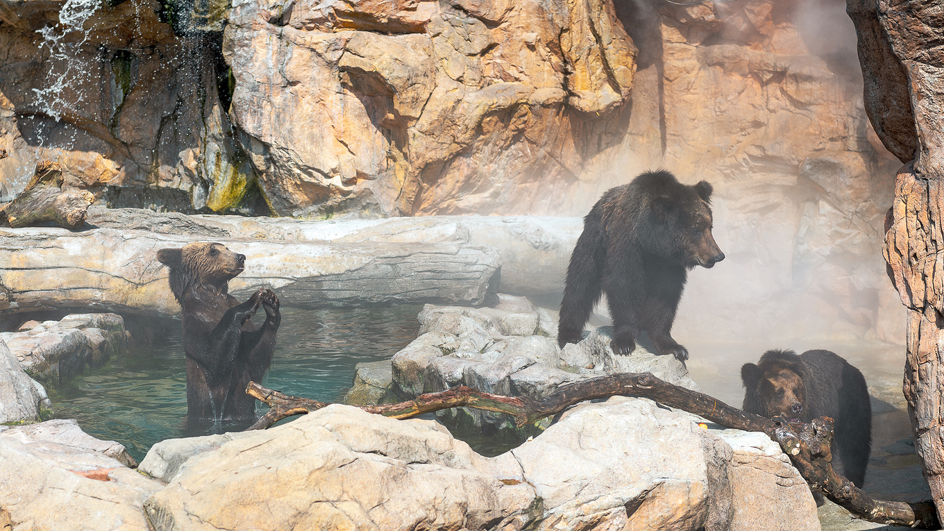 珠海长隆龙秀适合小朋友看吗,珠海长隆海洋王国值得打卡的地方