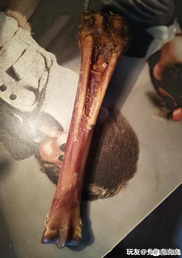 玉化骨头怎么盘,随便盘的手串