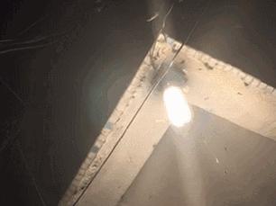 晚上开灯进来好多小飞虫怎么办,晚上开灯就引来很多飞虫是什么