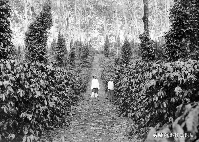 印尼在亚洲的实力排名,印尼有几亿人