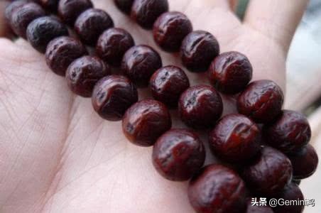 凤眼菩提湿了怎么办,凤眼菩提能浸水吗