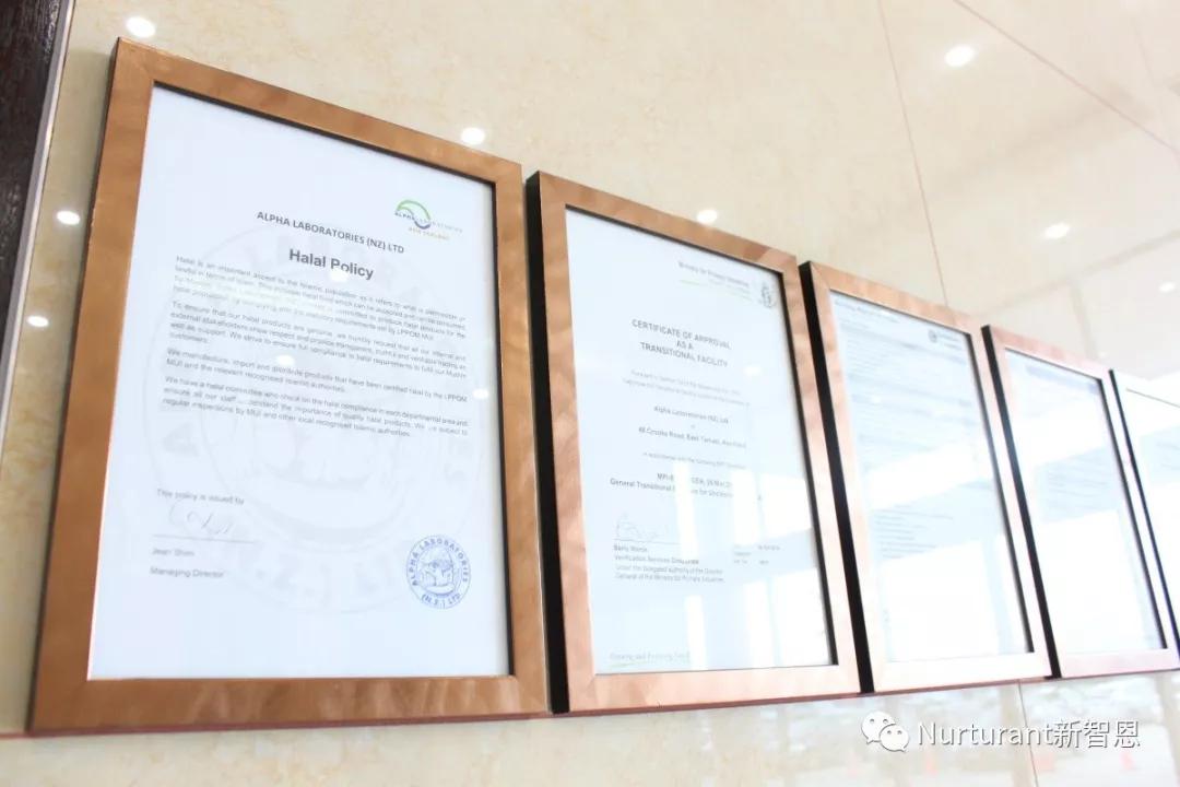 nurturant新智恩,新西兰新智恩营养品