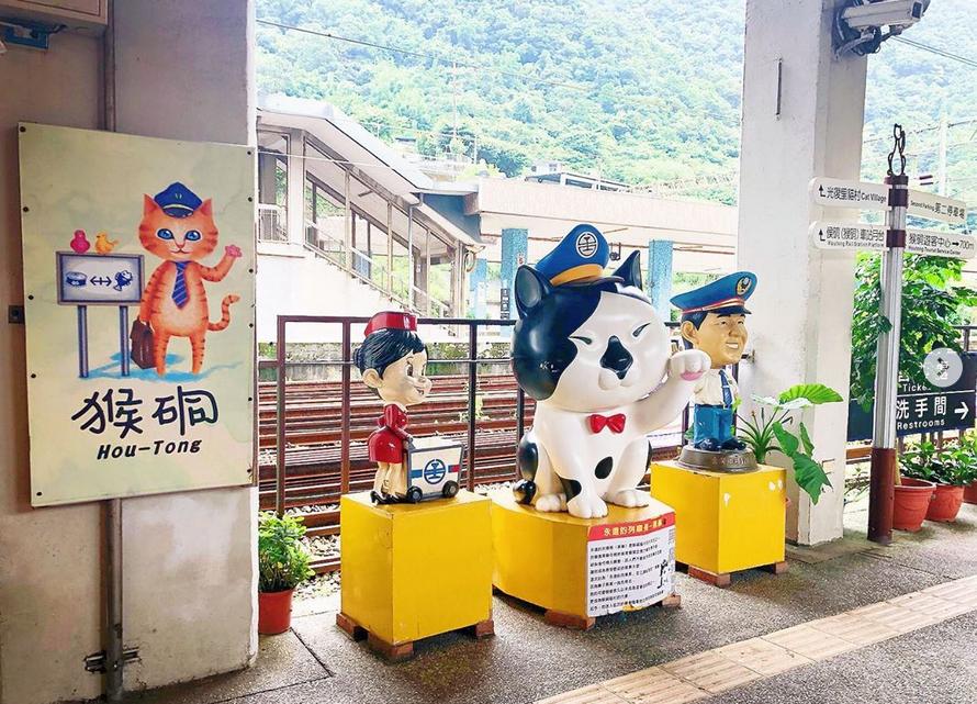 厦门顶级猫街介绍,厦门猫街值得去吗