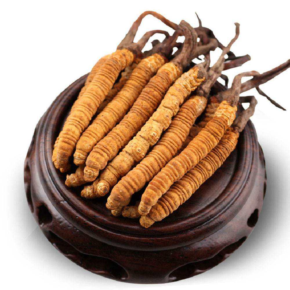 儿童身体瘦弱吃什么营养食物,瘦弱的儿童如何调理饮食