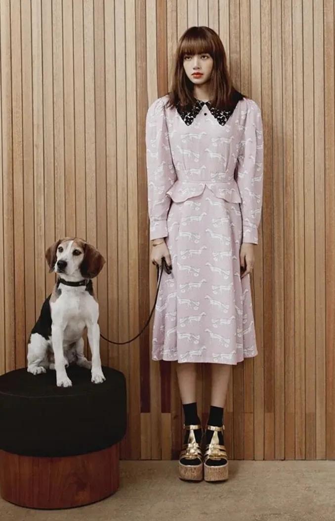 古力娜扎深v蓝色礼服和鞠婧祎,娜扎和鞠婧祎