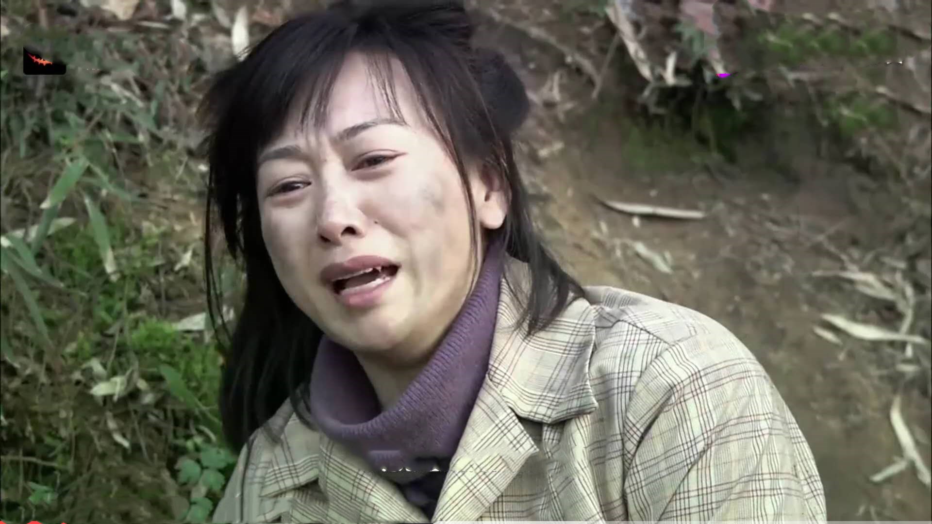 柳云龙罗海琼主演的电视剧风筝,柳云龙风筝专访柯蓝