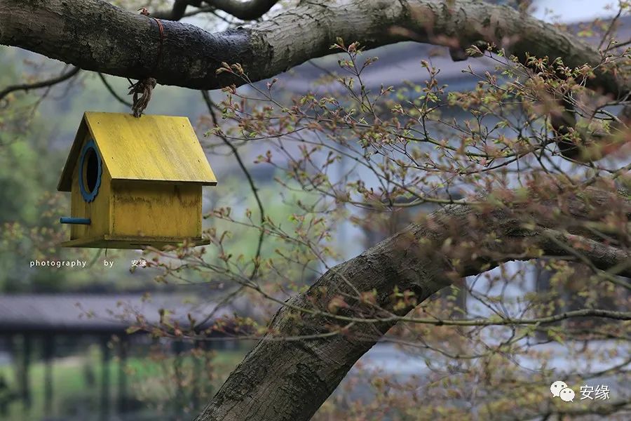西湖国宾馆享誉中外,西湖国宾馆的前世今生