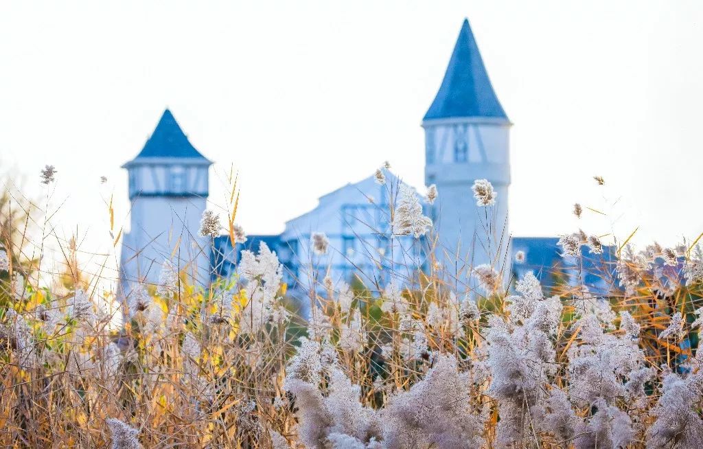 一路遐思入初冬，美好如约而至——张裕卡斯特酒庄