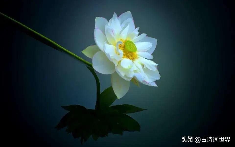 您语文好，请来读读试试，防老年痴呆