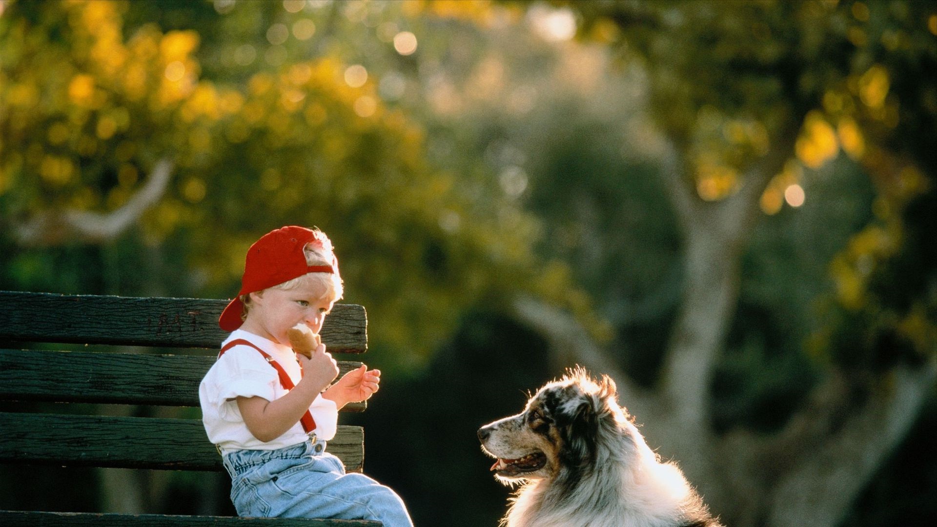 教育孩子走出逆境,教育小孩应对挫折