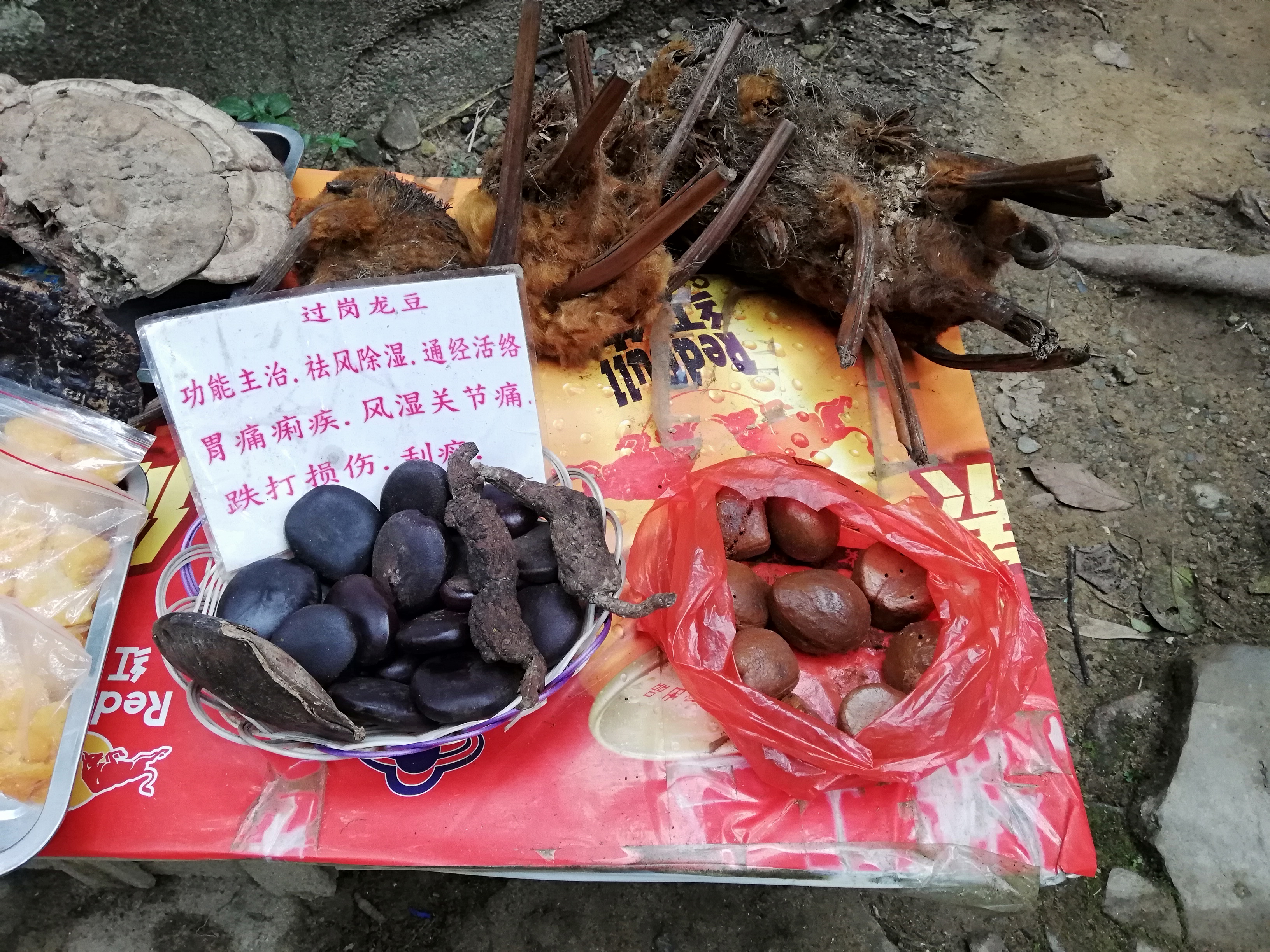 巴马100岁老人长寿秘诀视频,巴马五大长寿之乡之首