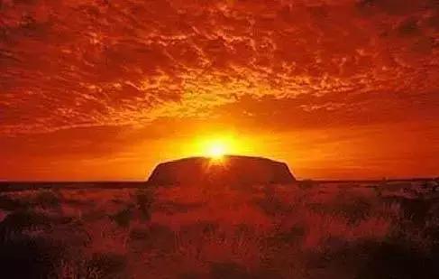 植发后光动力治疗,光动力治疗的发展史