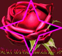 端午节最美好最温馨的祝福,端午节祝福语端午安康