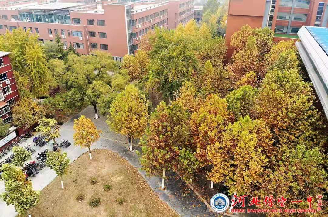 保定一中分校规划图,保定一期城改安置区效果图