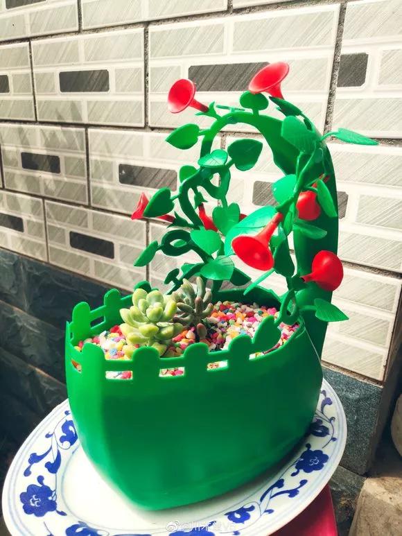 洗衣液桶剪2刀秒变各种养花神器,旧洗衣液瓶怎样剪养花好看