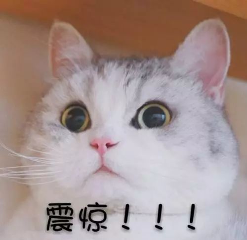 肖八平均分35分什么水平,肖八平均分29分