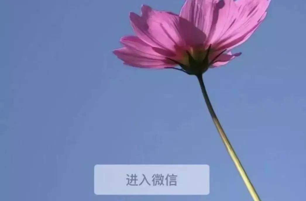 AcneStudios向IDG和I.T集团出售41%股权；Converse任命新CEO