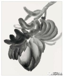 芭蕉叶画法教程,国画芭蕉画法视频