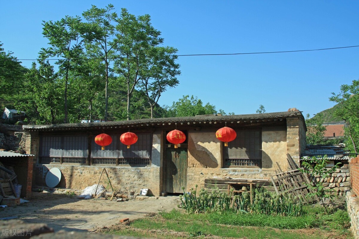 坟前枯树须迁坟是什么意思,坟前枯树须迁坟预示什么