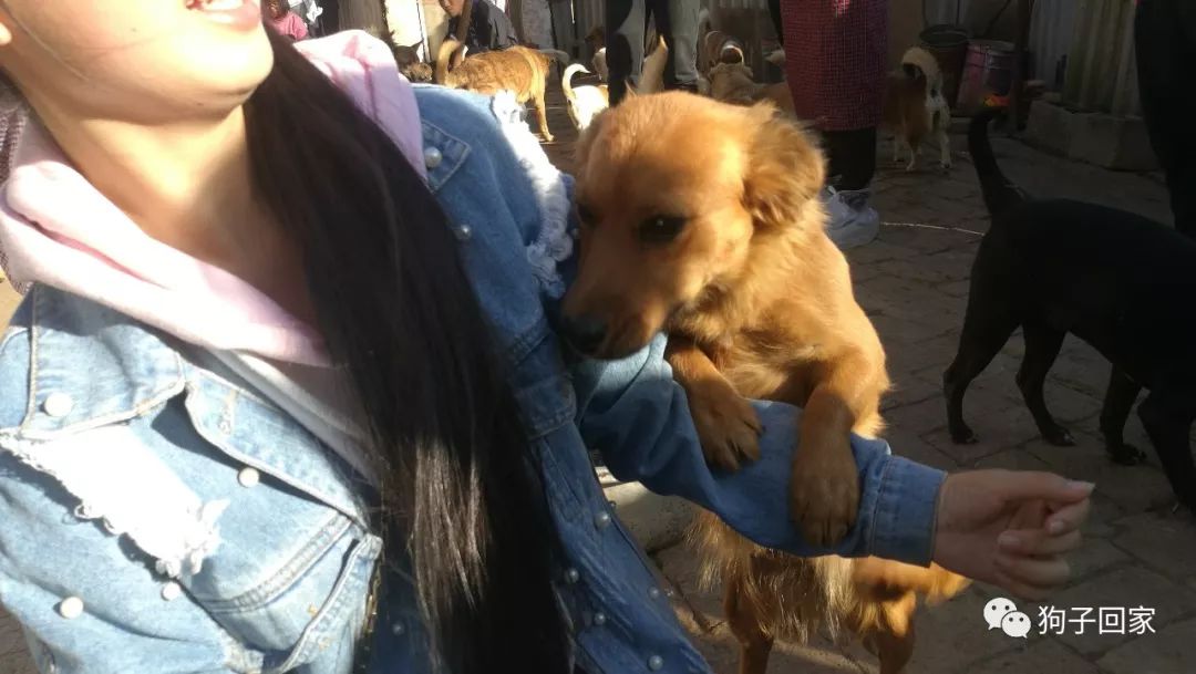 每一个生命都需要被尊重和善待,每一个生命都要被尊重被温暖