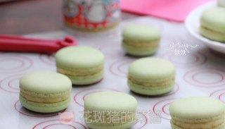 卡仕达马卡龙多少钱,极致马卡龙