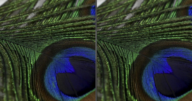 aps-c市场新秀尼康z50详细评测,尼康af50对比z50