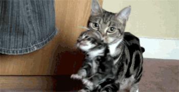 治愈洁癖强迫症的方法,洁癖强迫症治愈方法