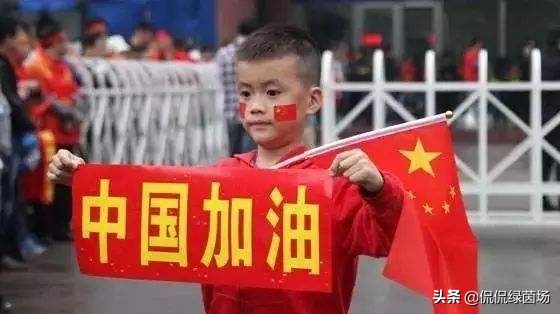 国足败北耐人寻味,国足输球感言