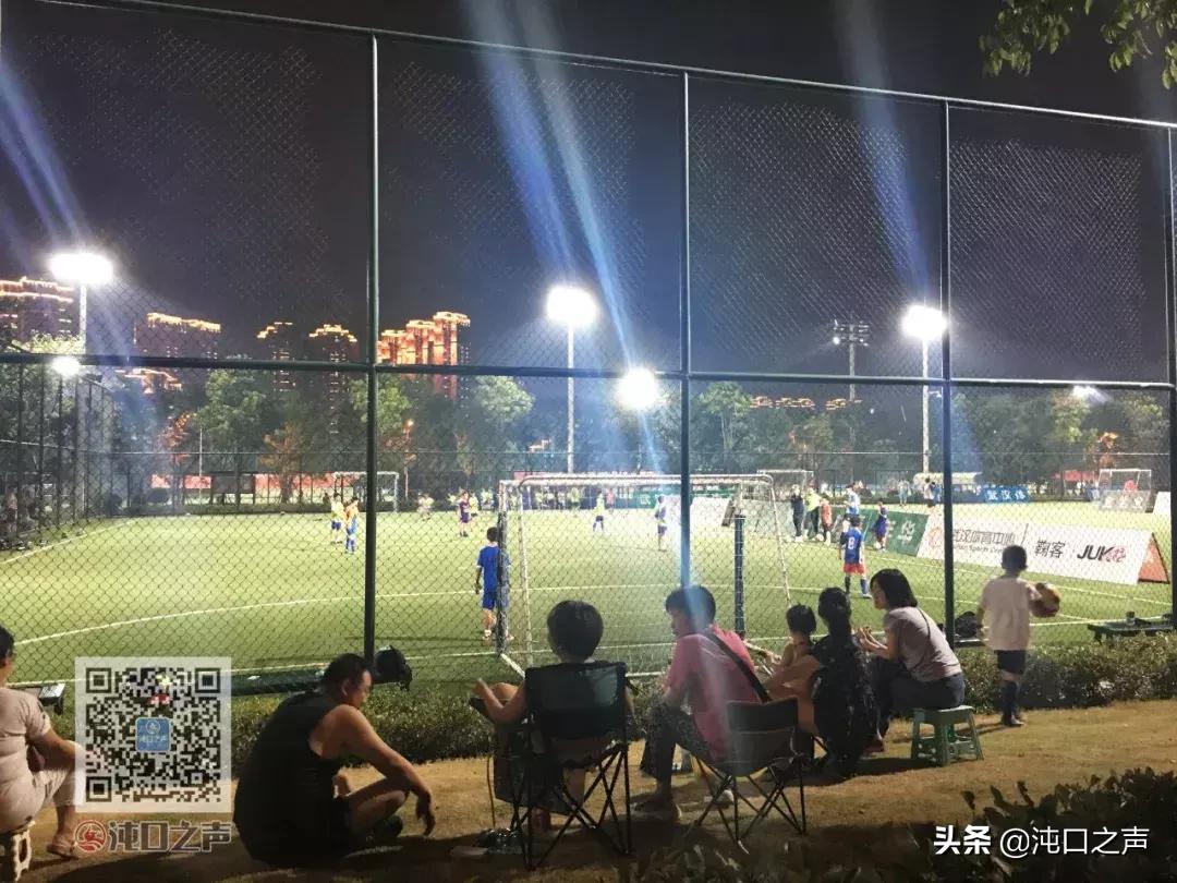 武汉卓尔足球公园,武汉王家墩足球公园